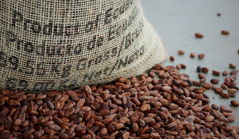 San Fernando - Cocoa beans