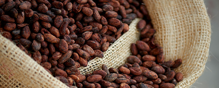 San Fernando - Cocoa beans