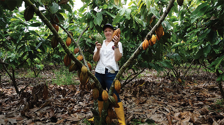 San Fernando - Perspectivas cultivador